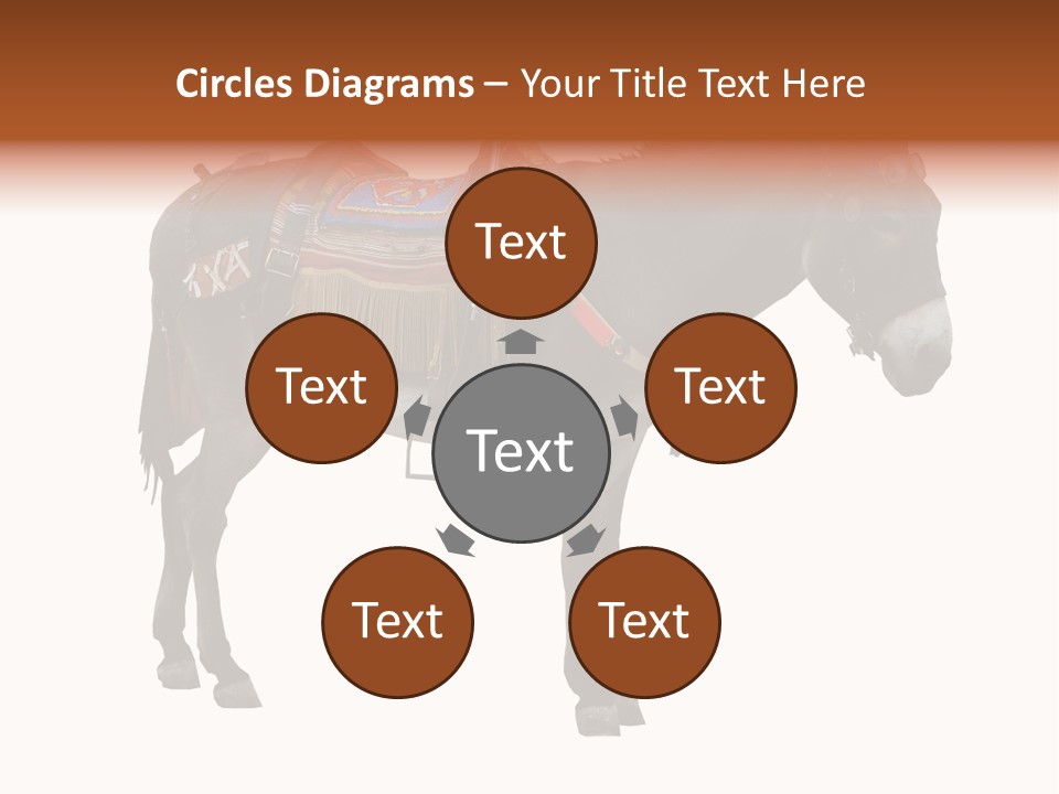 Donkey Entertainment Humor PowerPoint Template