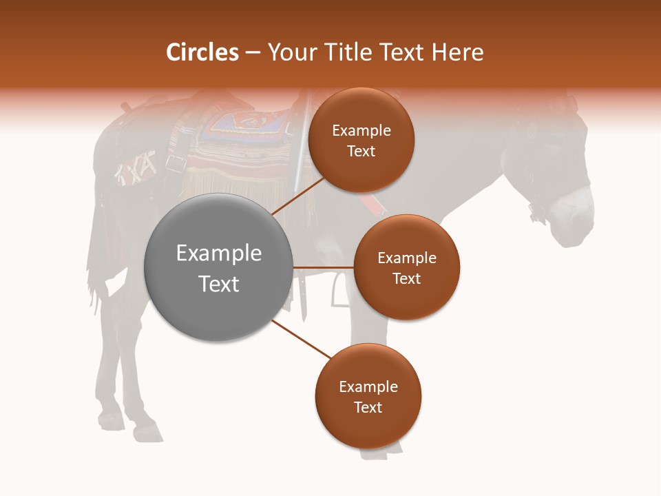 Donkey Entertainment Humor PowerPoint Template