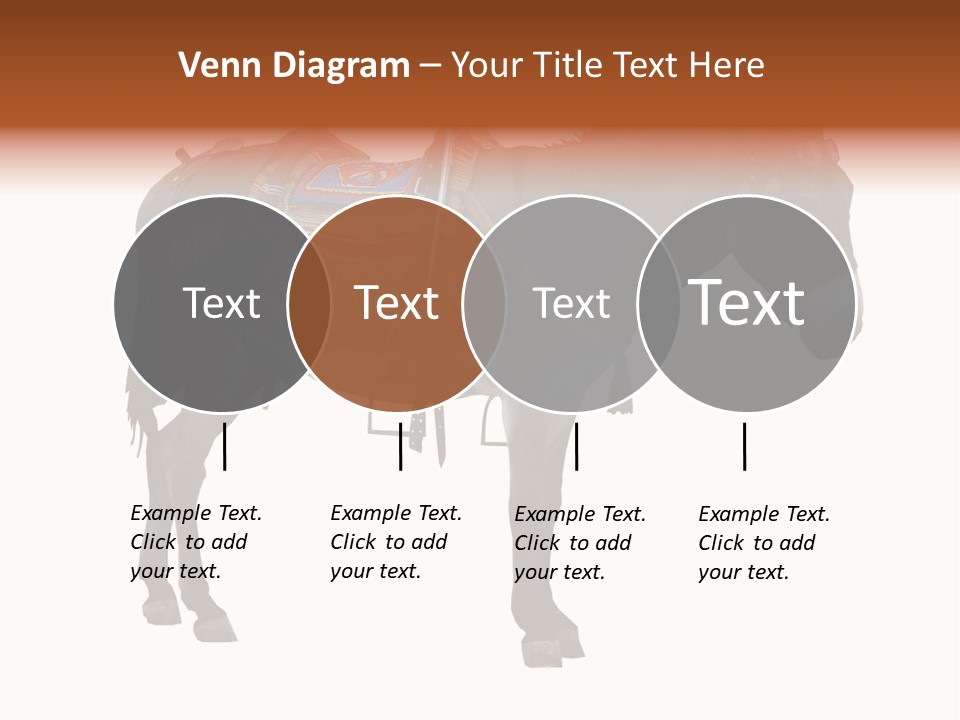 Donkey Entertainment Humor PowerPoint Template