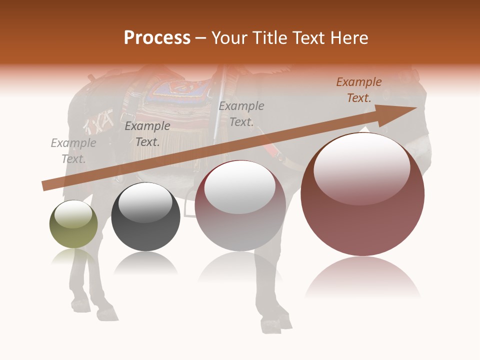 Donkey Entertainment Humor PowerPoint Template