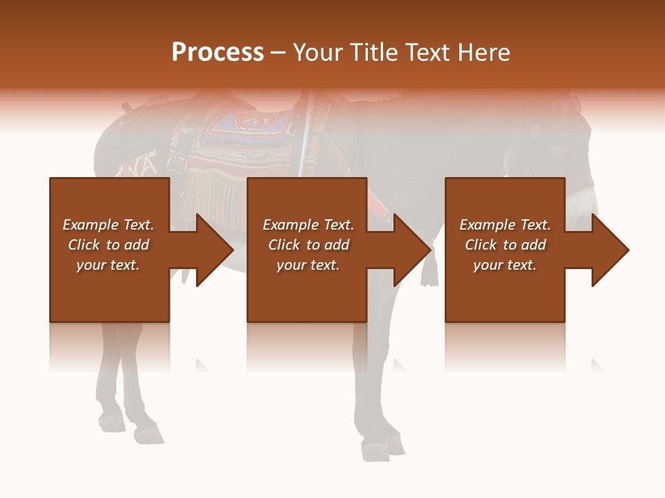 Donkey Entertainment Humor PowerPoint Template