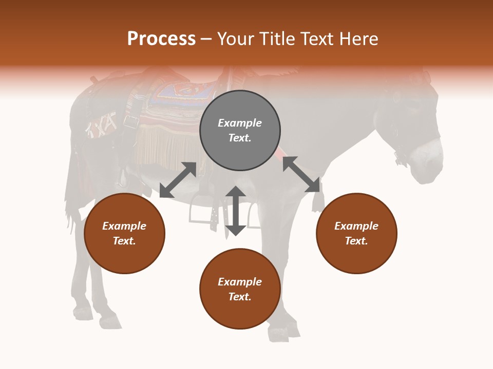 Donkey Entertainment Humor PowerPoint Template