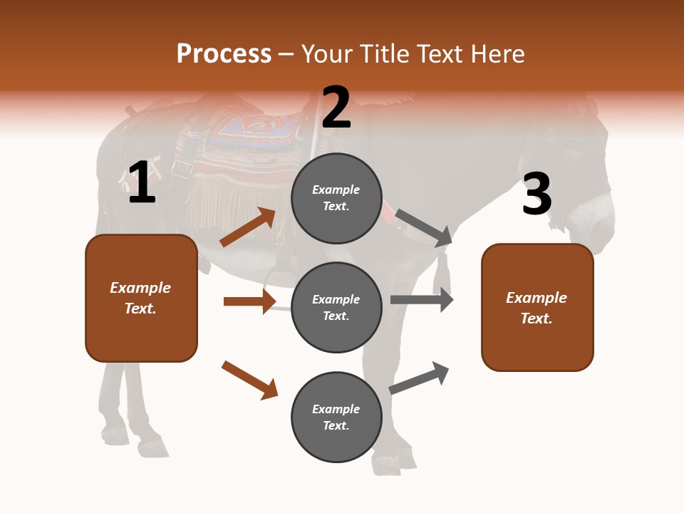 Donkey Entertainment Humor PowerPoint Template