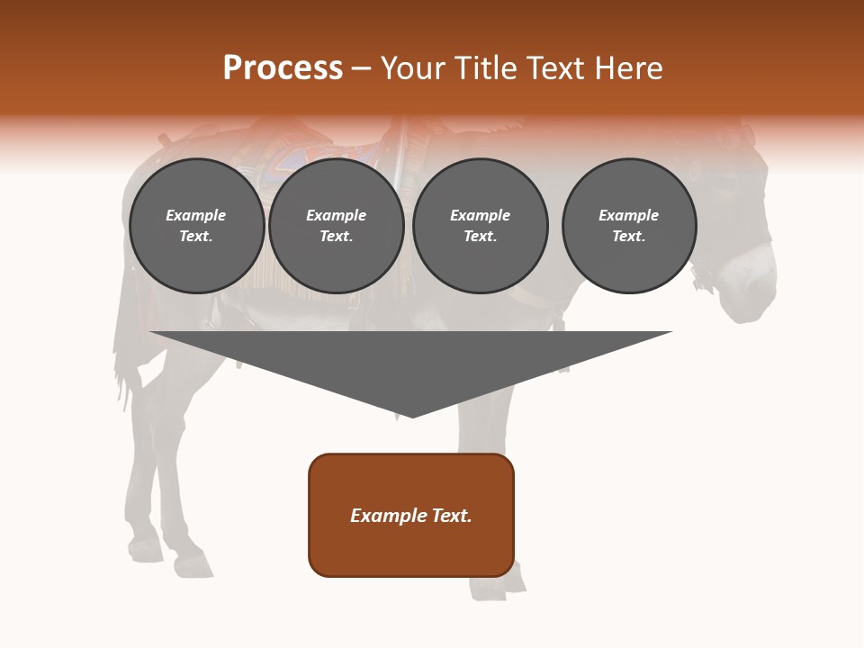 Donkey Entertainment Humor PowerPoint Template