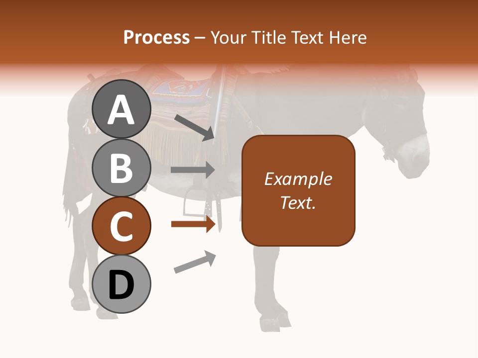 Donkey Entertainment Humor PowerPoint Template