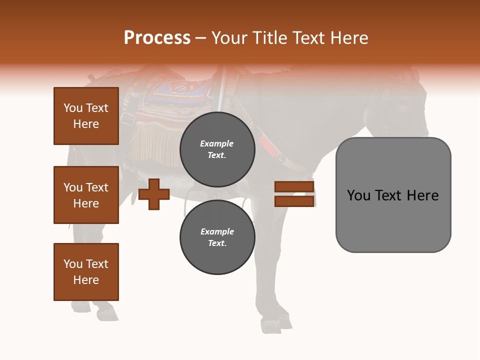 Donkey Entertainment Humor PowerPoint Template