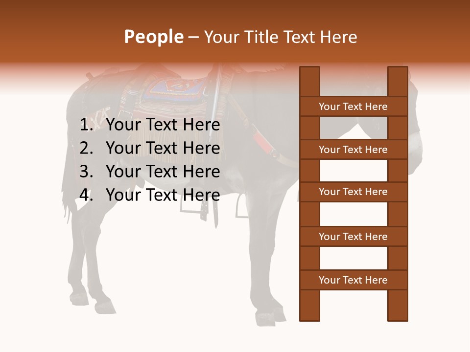 Donkey Entertainment Humor PowerPoint Template