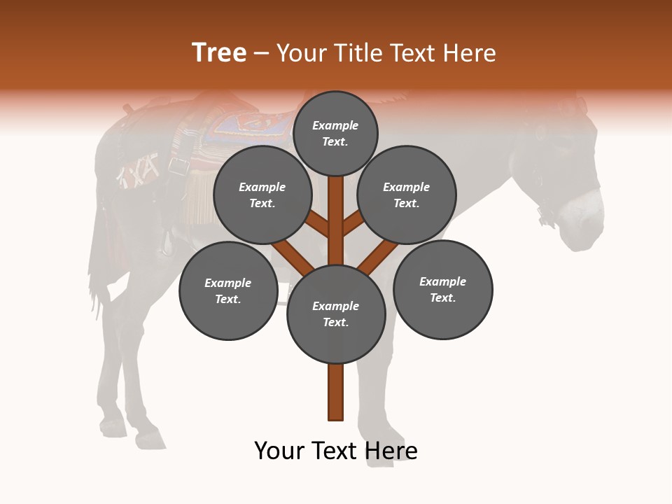 Donkey Entertainment Humor PowerPoint Template