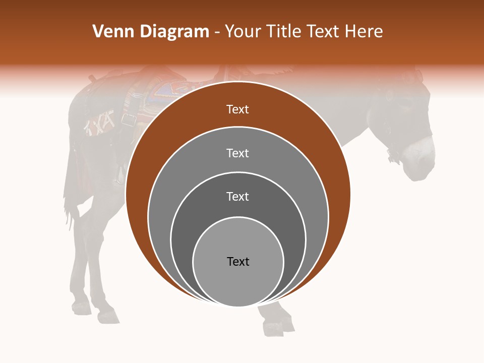 Donkey Entertainment Humor PowerPoint Template