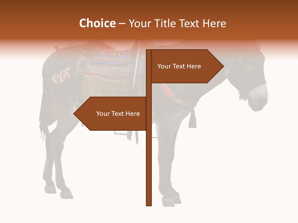 Donkey Entertainment Humor PowerPoint Template