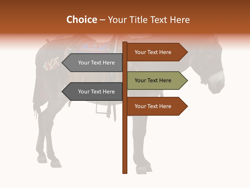 Donkey Entertainment Humor PowerPoint Template