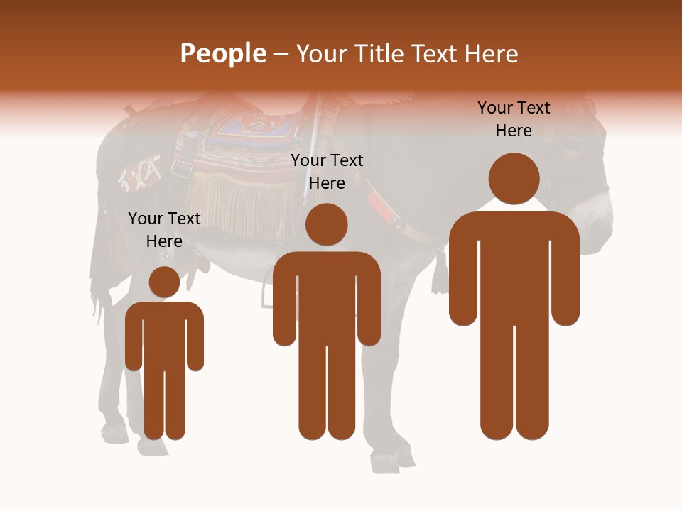 Donkey Entertainment Humor PowerPoint Template