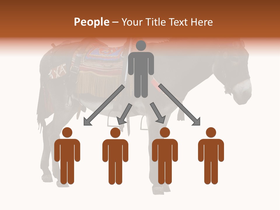 Donkey Entertainment Humor PowerPoint Template