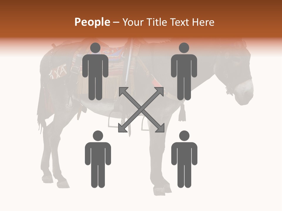 Donkey Entertainment Humor PowerPoint Template