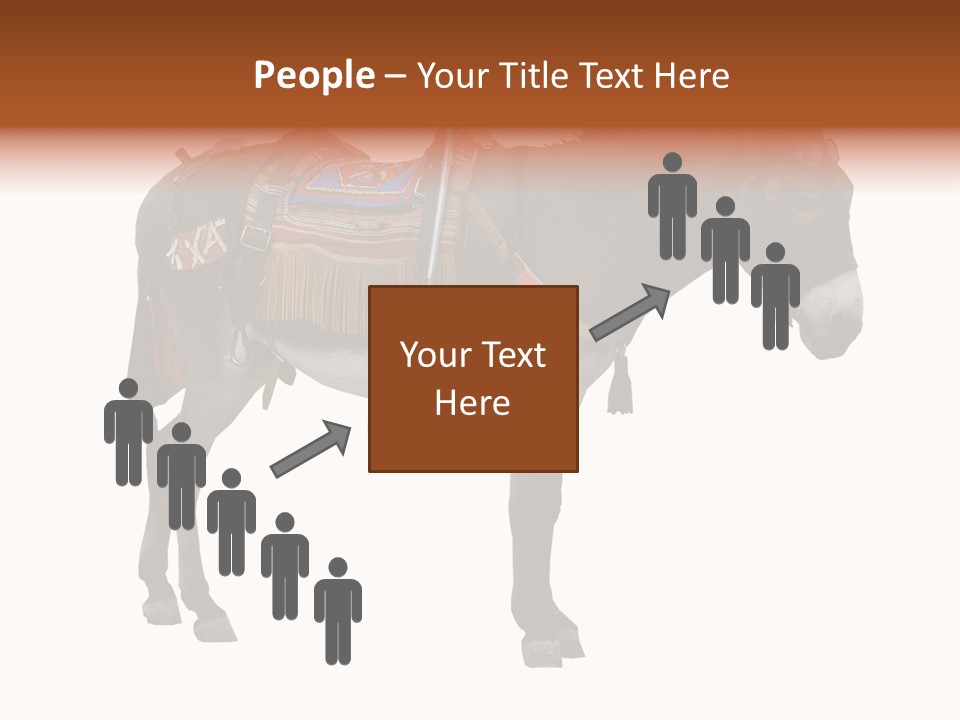 Donkey Entertainment Humor PowerPoint Template