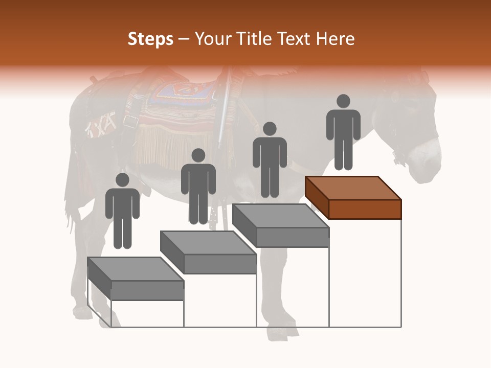 Donkey Entertainment Humor PowerPoint Template