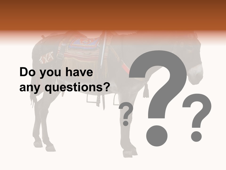 Donkey Entertainment Humor PowerPoint Template