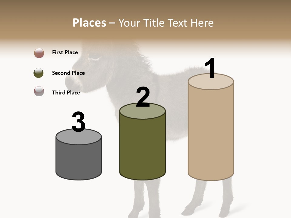 Animal Themes Adorable White Background PowerPoint Template