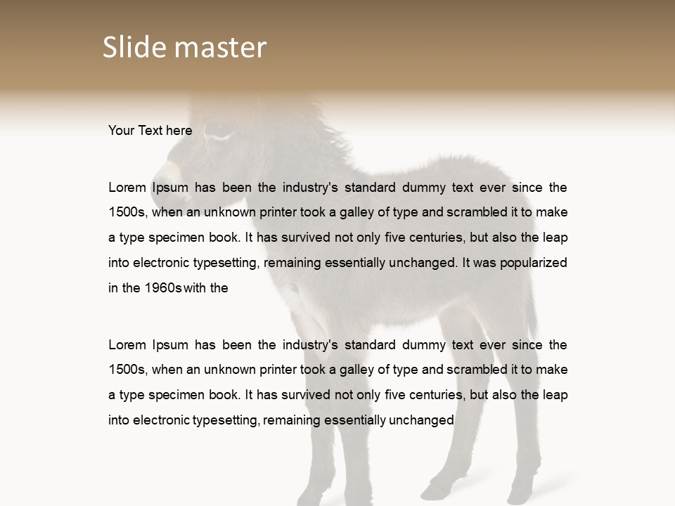 Animal Themes Adorable White Background PowerPoint Template