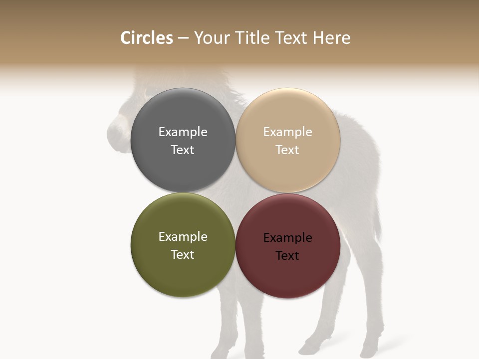 Animal Themes Adorable White Background PowerPoint Template