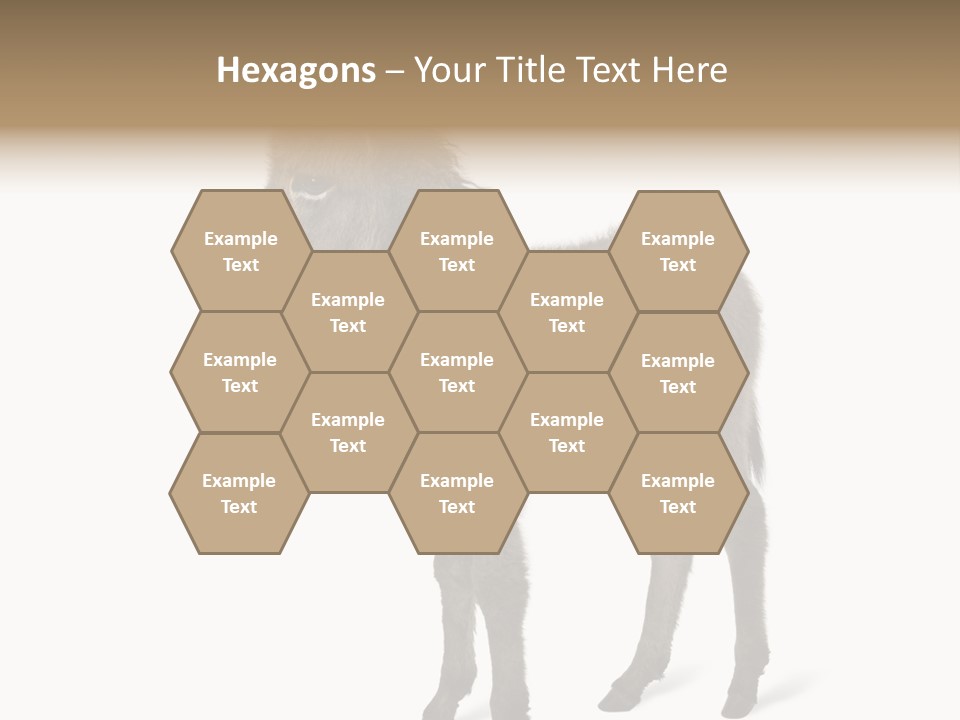 Animal Themes Adorable White Background PowerPoint Template