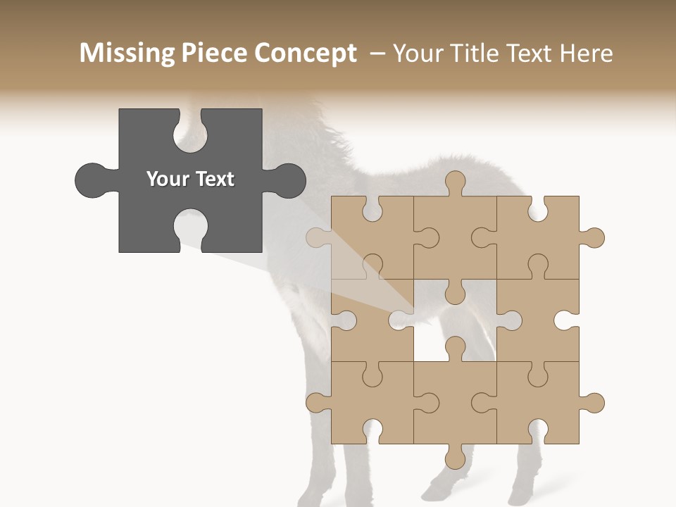 Animal Themes Adorable White Background PowerPoint Template