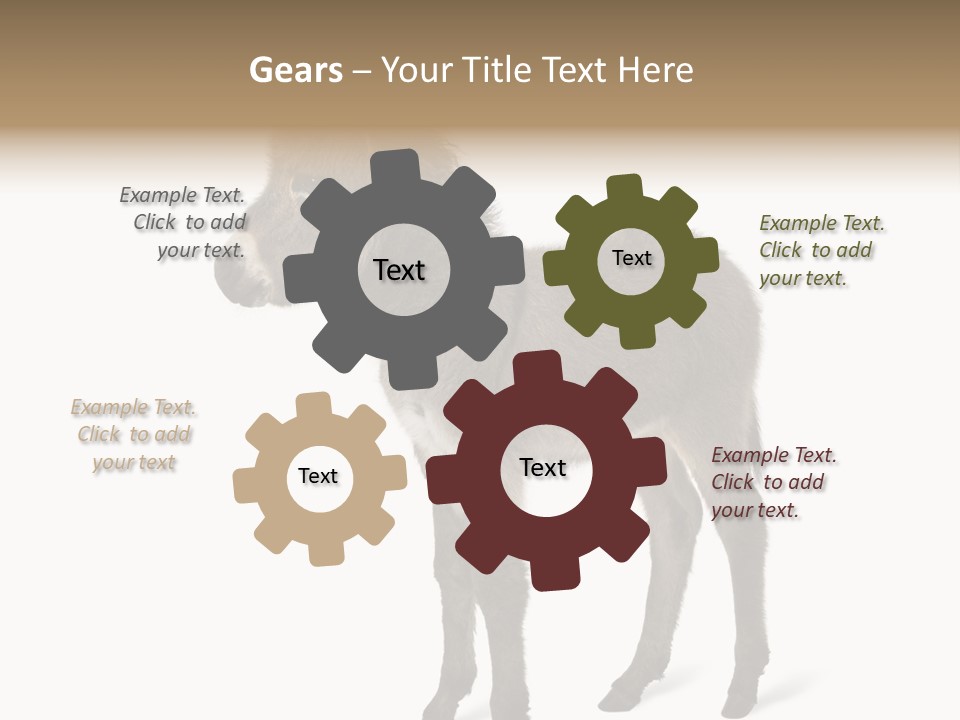 Animal Themes Adorable White Background PowerPoint Template