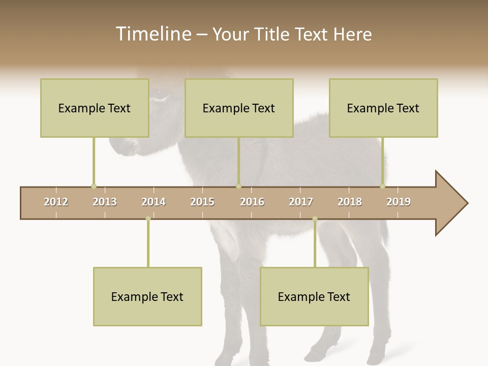 Animal Themes Adorable White Background PowerPoint Template