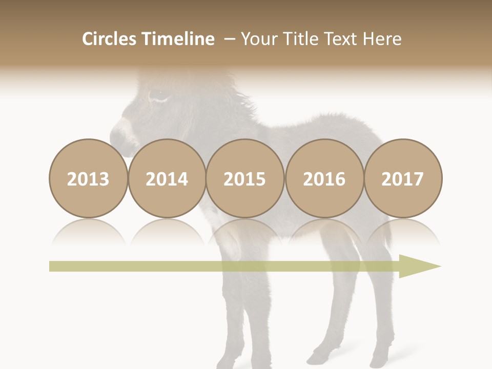 Animal Themes Adorable White Background PowerPoint Template