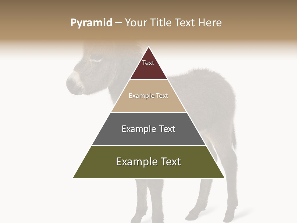 Animal Themes Adorable White Background PowerPoint Template