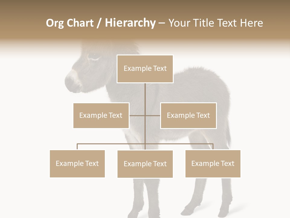 Animal Themes Adorable White Background PowerPoint Template