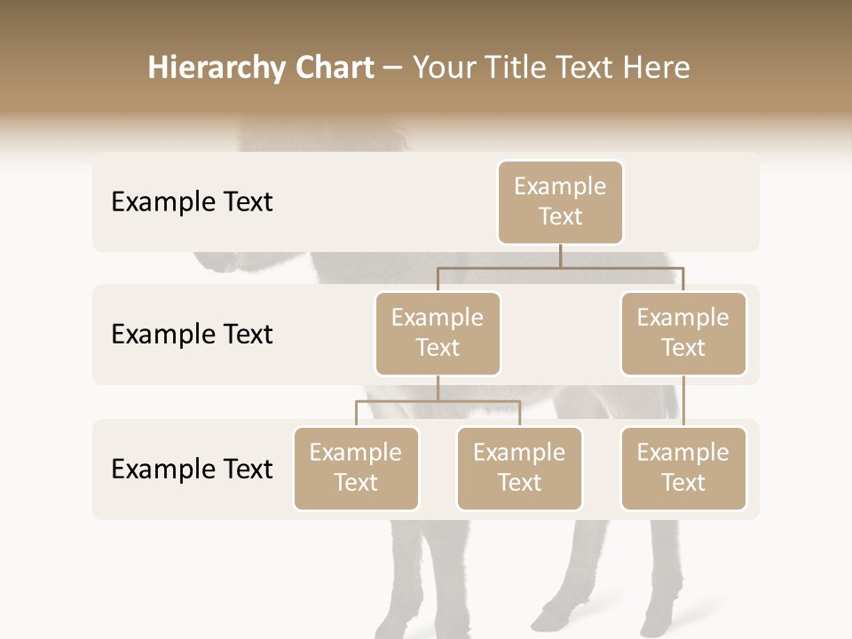 Animal Themes Adorable White Background PowerPoint Template