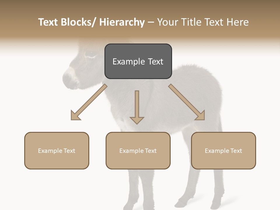 Animal Themes Adorable White Background PowerPoint Template