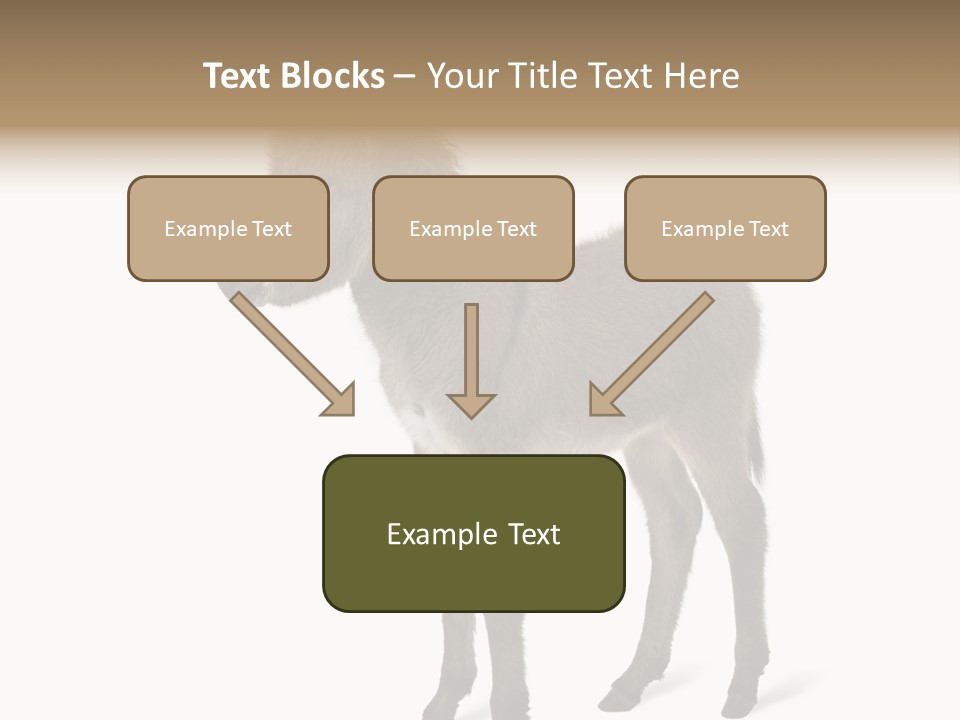 Animal Themes Adorable White Background PowerPoint Template