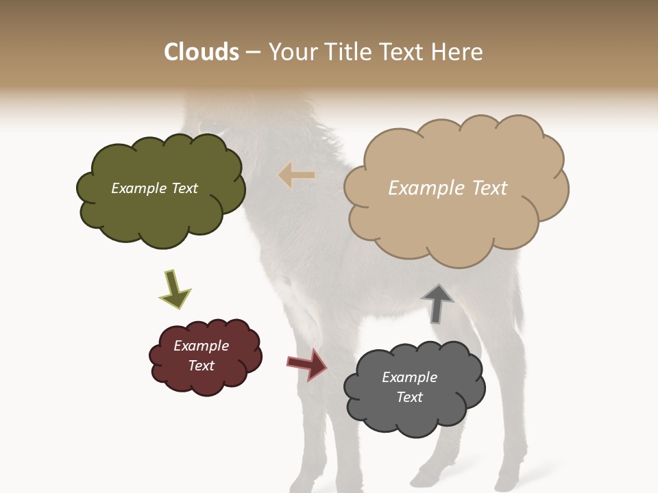 Animal Themes Adorable White Background PowerPoint Template