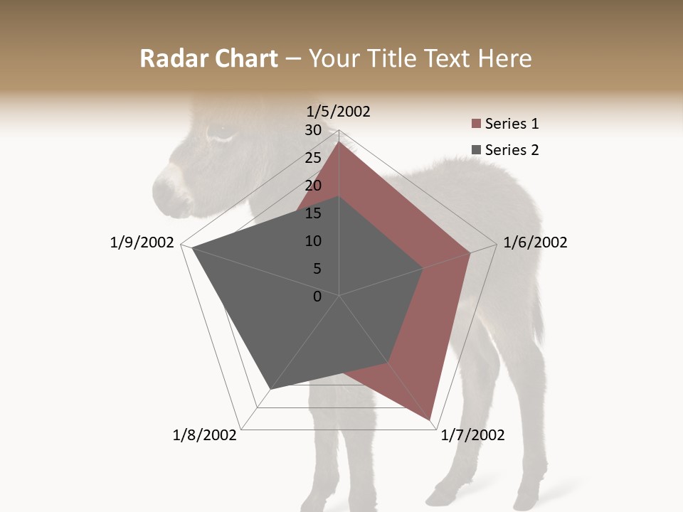 Animal Themes Adorable White Background PowerPoint Template