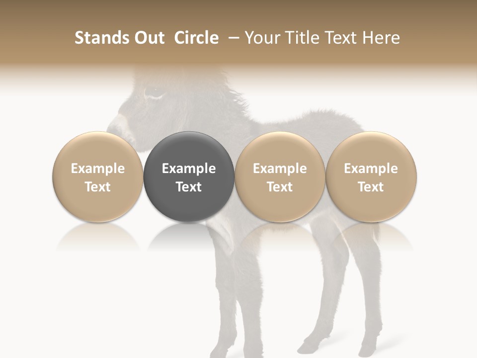 Animal Themes Adorable White Background PowerPoint Template