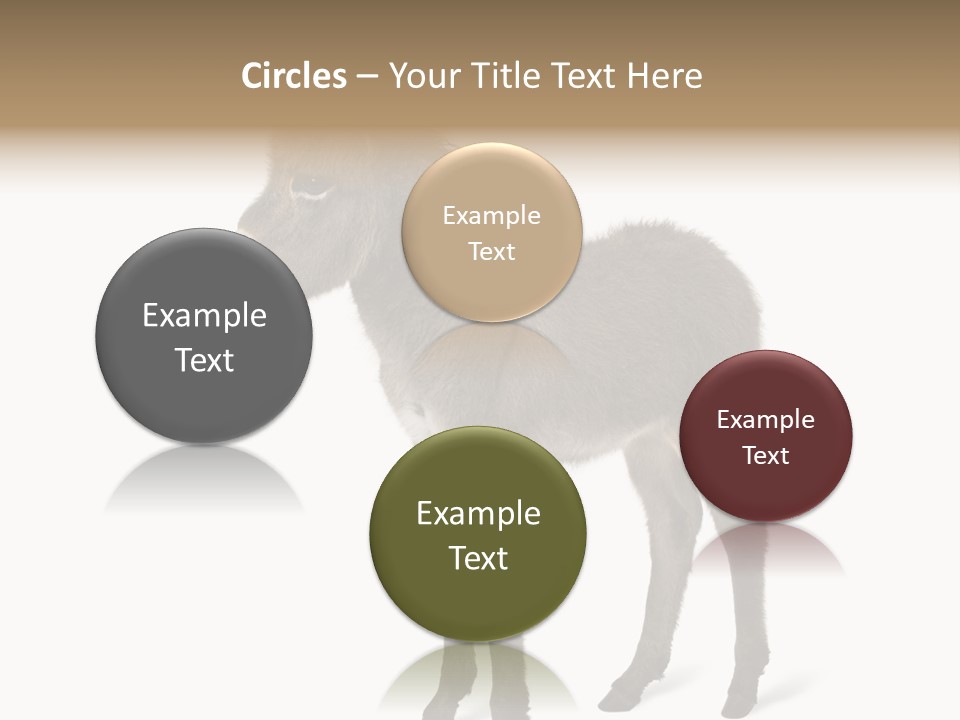 Animal Themes Adorable White Background PowerPoint Template