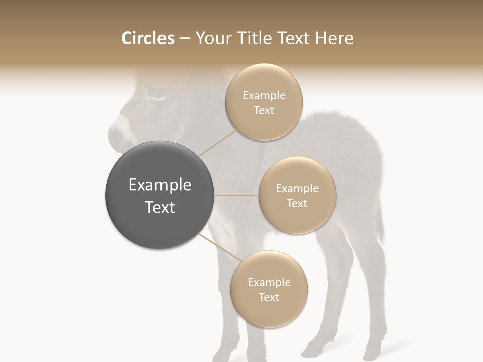 Animal Themes Adorable White Background PowerPoint Template