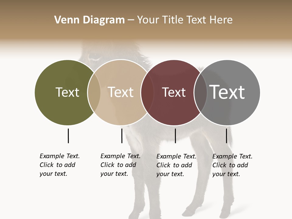 Animal Themes Adorable White Background PowerPoint Template