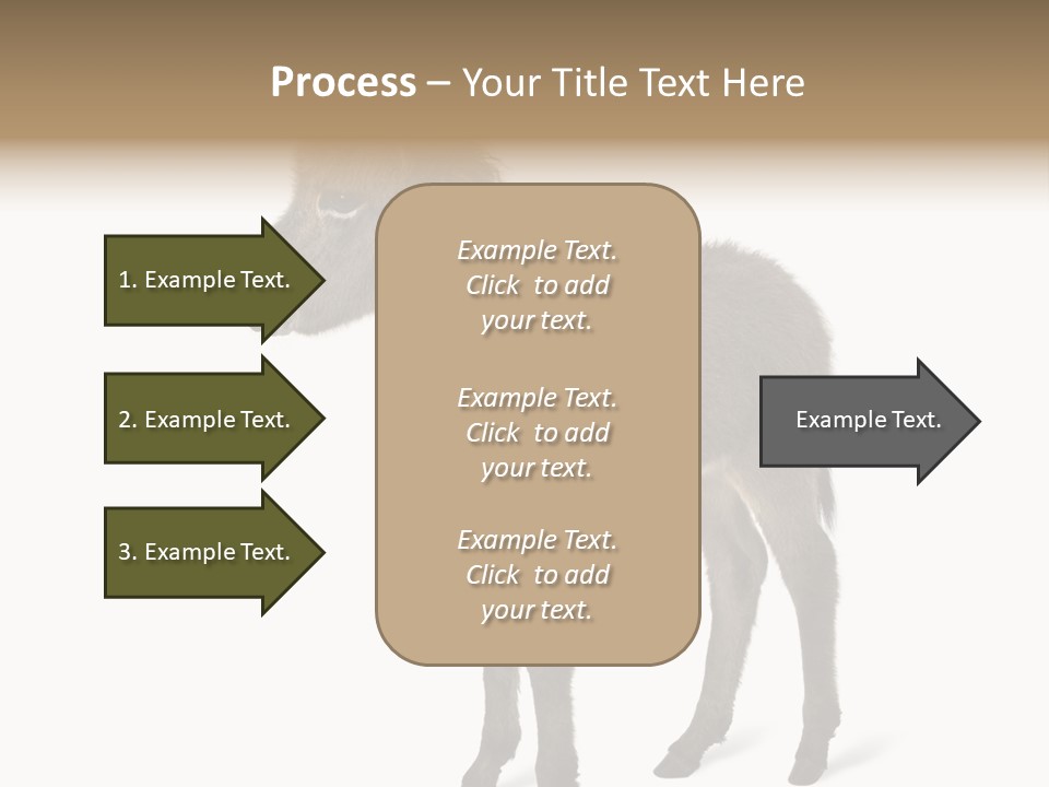 Animal Themes Adorable White Background PowerPoint Template