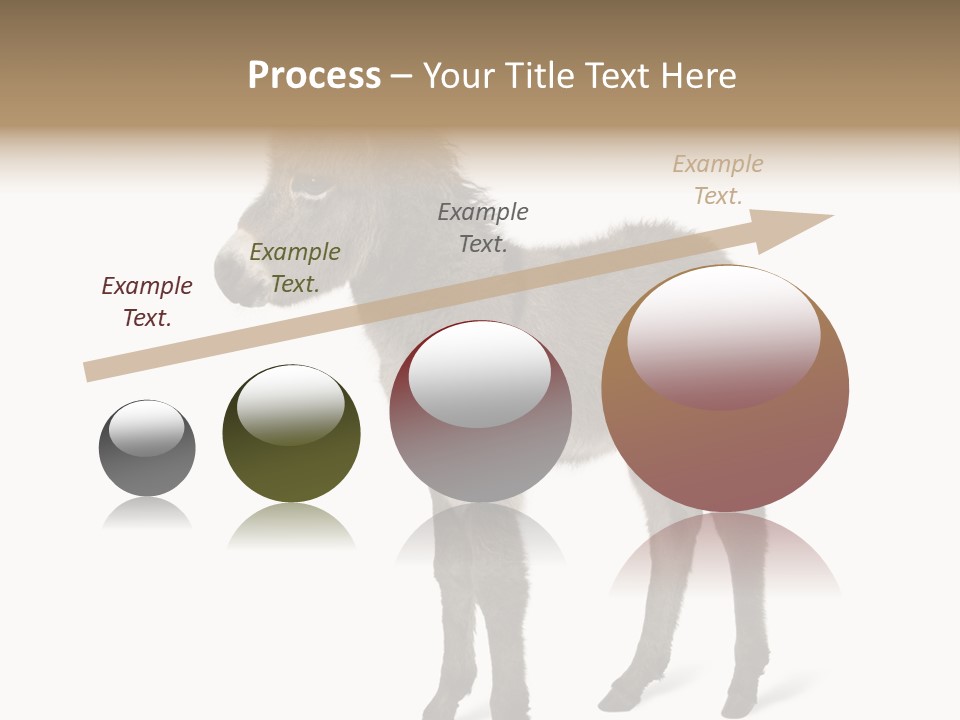 Animal Themes Adorable White Background PowerPoint Template