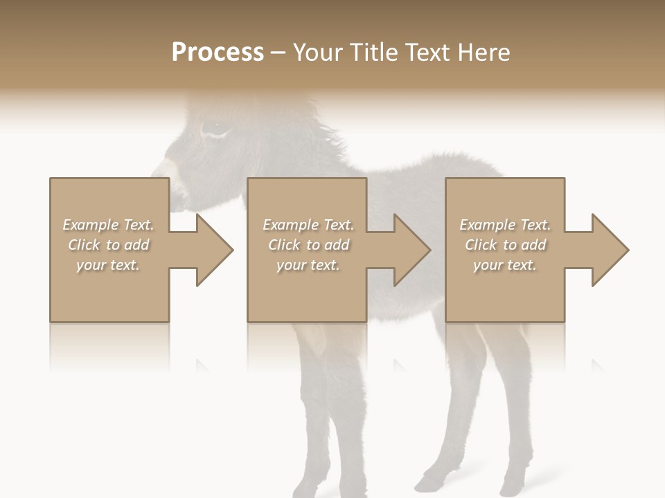 Animal Themes Adorable White Background PowerPoint Template