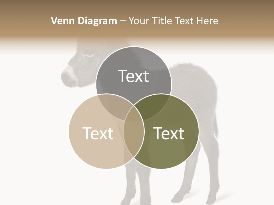 Animal Themes Adorable White Background PowerPoint Template