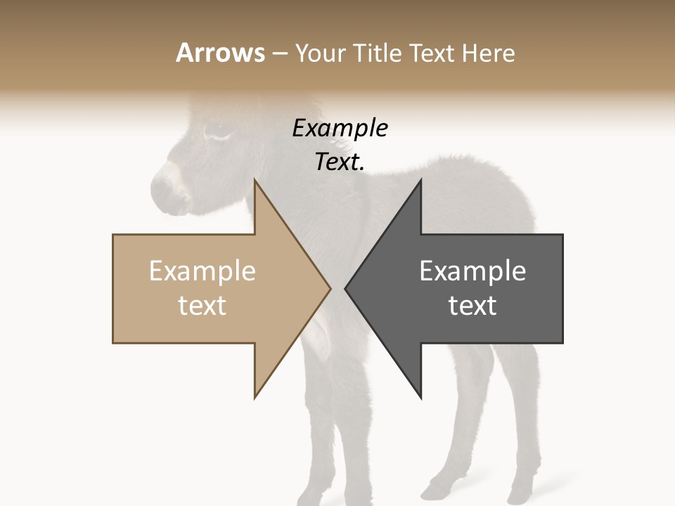 Animal Themes Adorable White Background PowerPoint Template