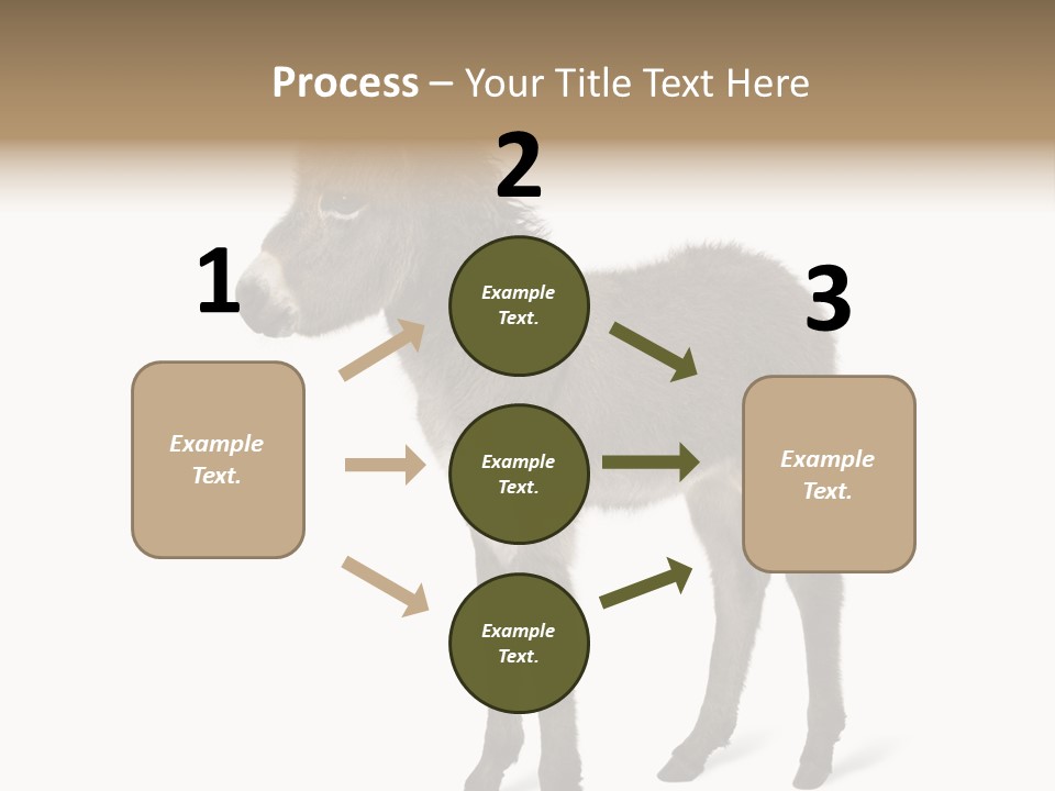 Animal Themes Adorable White Background PowerPoint Template