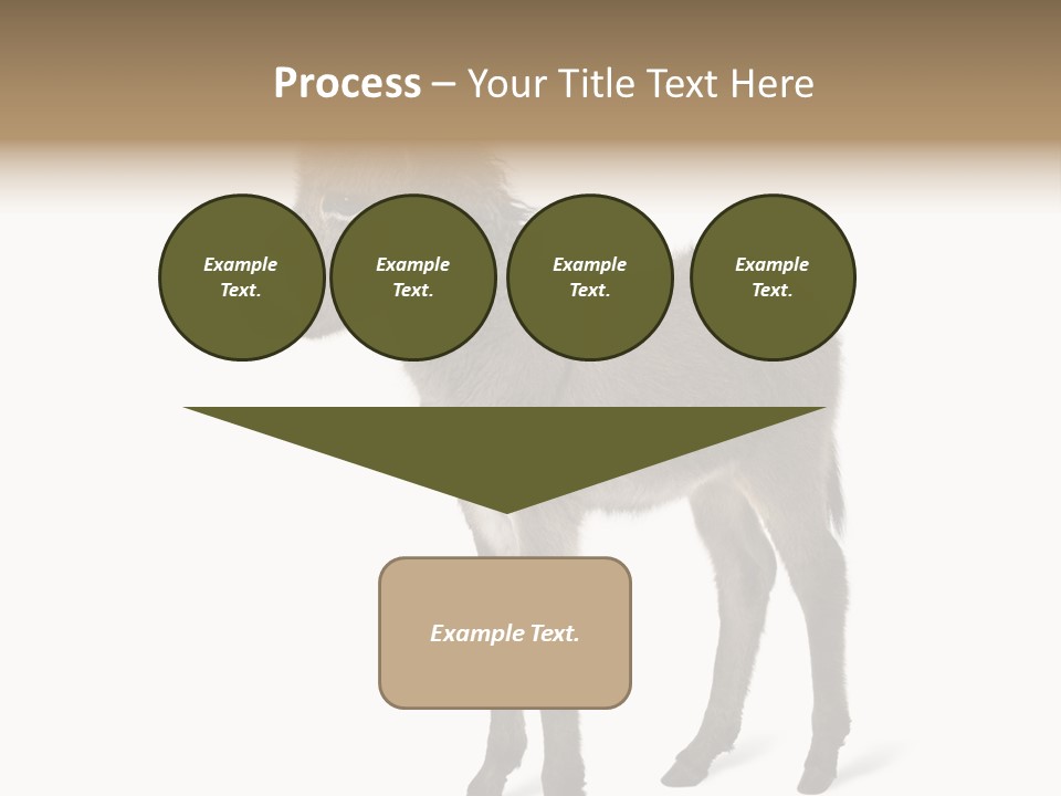 Animal Themes Adorable White Background PowerPoint Template