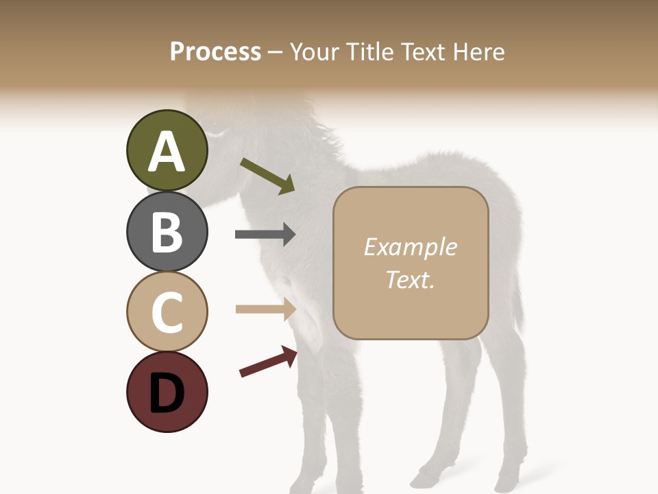 Animal Themes Adorable White Background PowerPoint Template