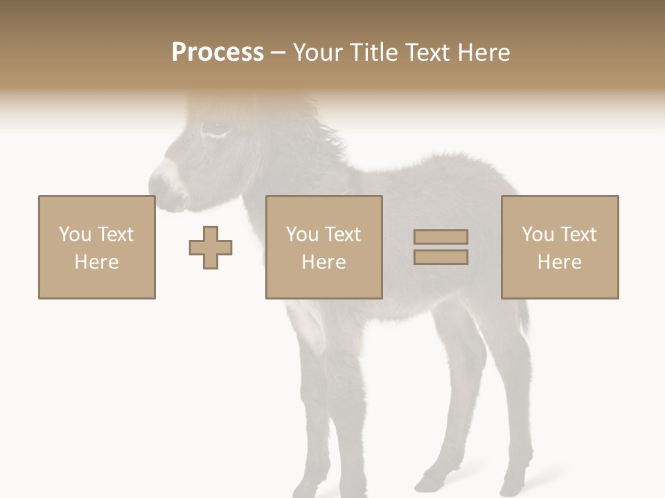 Animal Themes Adorable White Background PowerPoint Template