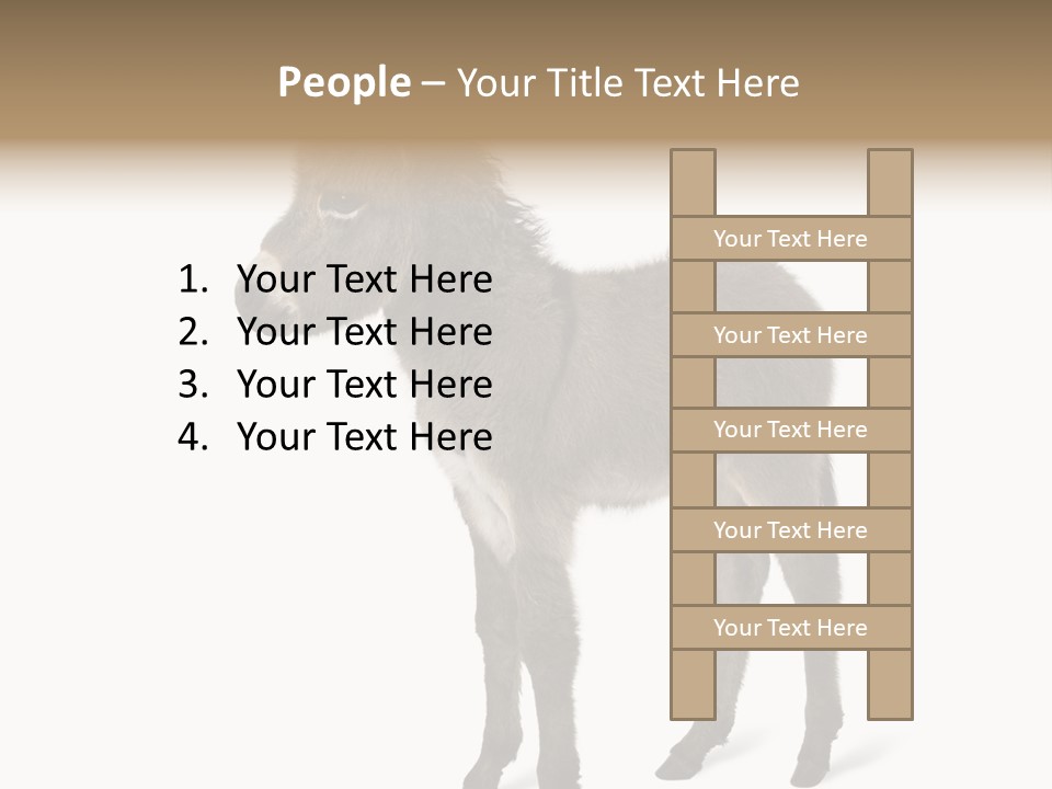 Animal Themes Adorable White Background PowerPoint Template